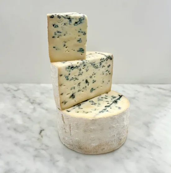 JASPER HILL BAYLEY HAZEN BLUE