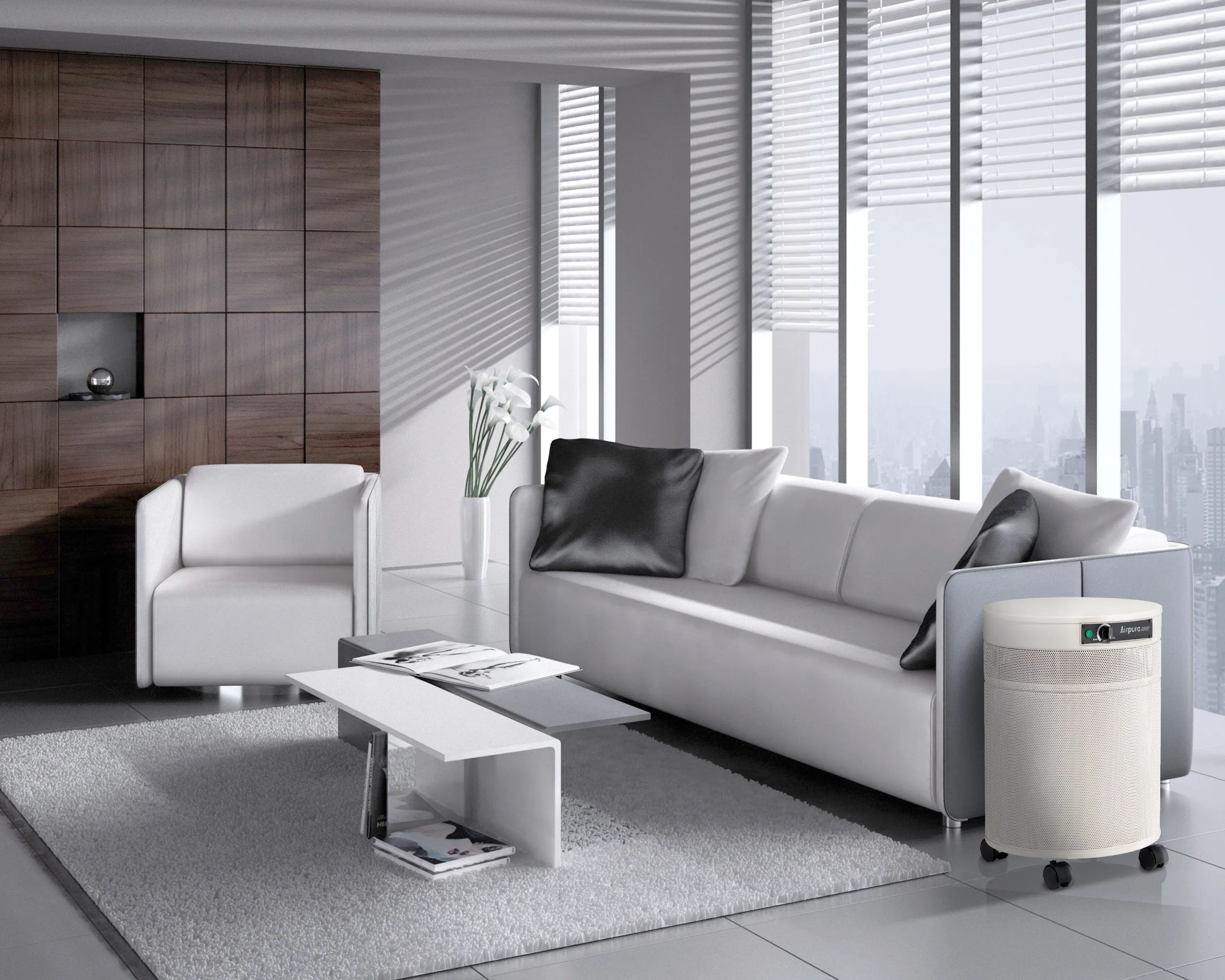 R614 - The Everyday Air Purifier